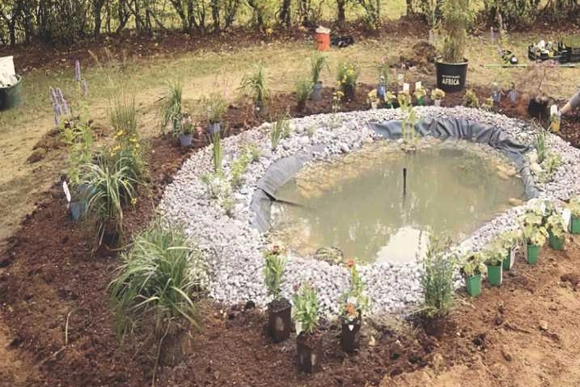 Folienteich im Garten anlegen